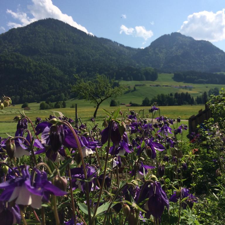 Villa Schifterhof Ruhpolding Esterno foto