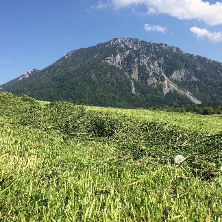 Villa Schifterhof Ruhpolding Esterno foto